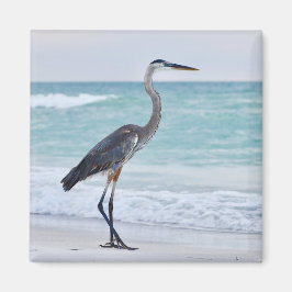 Florida-Strandvögel Magnet