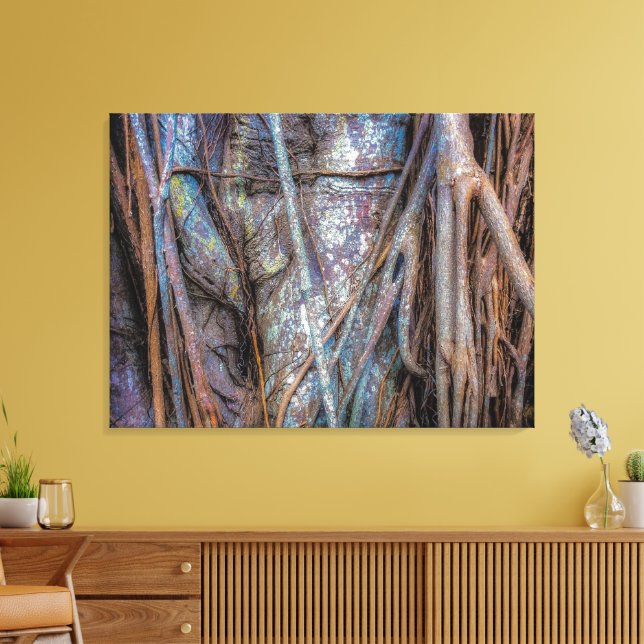 Florida Strangler Fig Leinwanddruck (Insitu (Wohnzimmer))