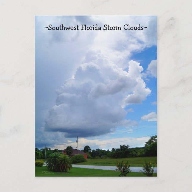 Florida Sturmwolken Cape Coral Postcard Postkarte (Vorderseite)