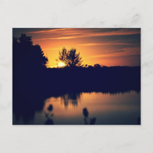 Florida Sunset Postcard Postkarte