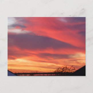 Florida Sunset Postkarte