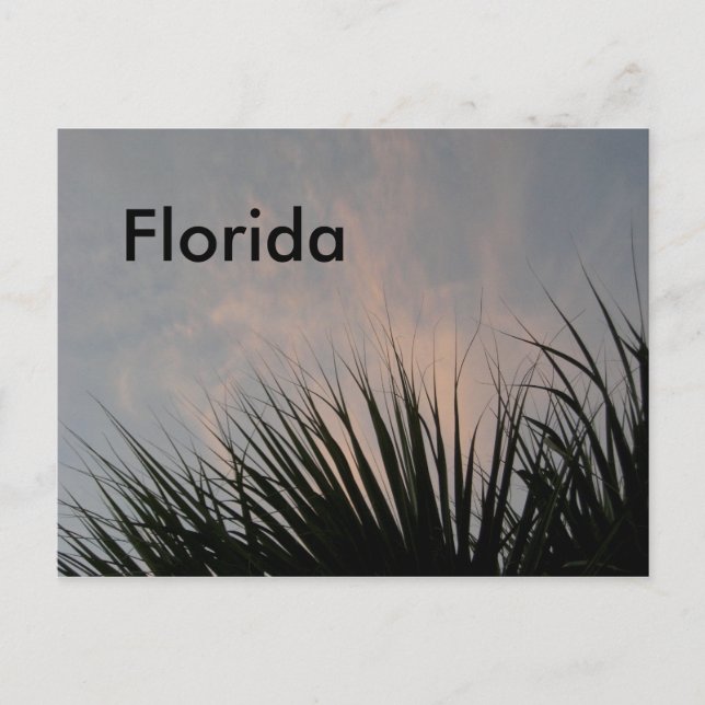 Florida Sunset - Postkarte (Vorderseite)
