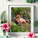 Florida Travel Foto Fotografy Posters Poster<br><div class="desc">Mit unseren Fotoplakaten mit einer lebhaften rosa Flamingo-Dekorationsszene bringen Sie eine tropische Touch auf Ihre Zuhause. Dieses von Victoria Grigaliunas in den wunderschönen Wundergärten von Bonita Springs, Florida, vereinte Foto hebt die Schönheit der botanischen Umgebung, der farbenfrohen Vögel und der üppigen Natur hervor. Ideal für Naturliebhaber, tropische Ausflüge und eine...</div>