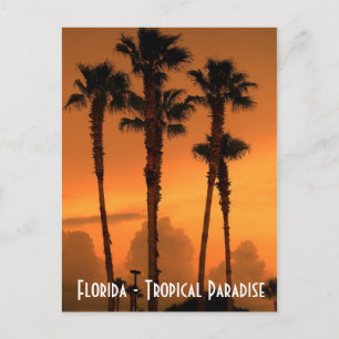 Florida Tropical Paradise Sunset Postcard Foto Postkarte