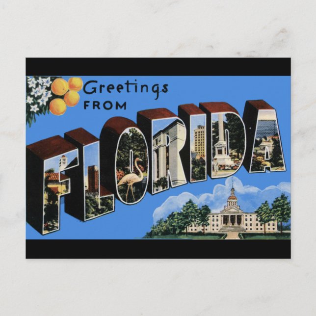 Florida Vintage Travel Postkarte (Vorderseite)