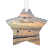 Florida-Weihnachtsverzierung