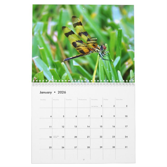 Florida-wild lebende Tiere Kalender (Jan 2026)