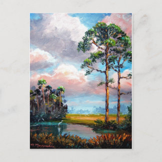 Florida Wilderness Postkarte
