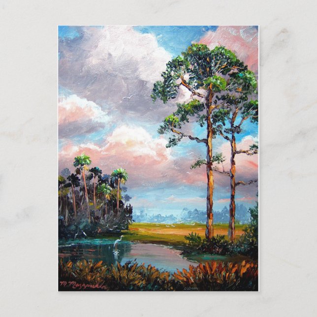 Florida Wilderness Postkarte (Vorderseite)