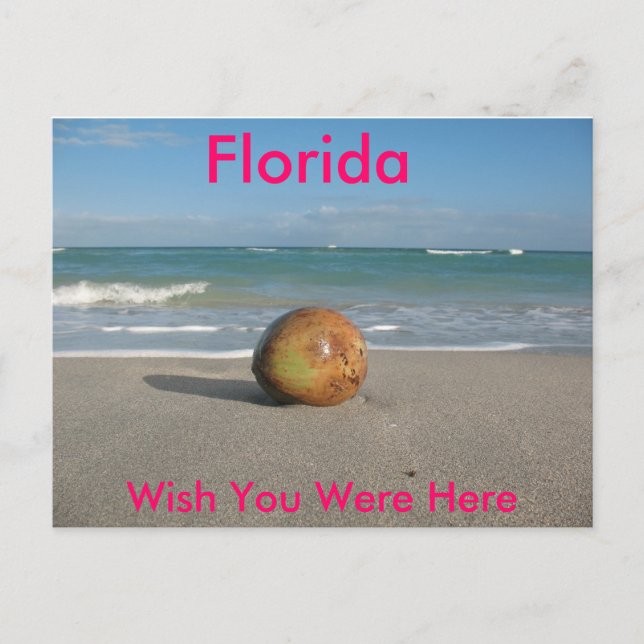 FLORIDA, wünschst du wärst hier, Postkarte (Vorderseite)