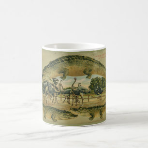 FloridaalligatorgrenzTasse 1905 Kaffeetasse
