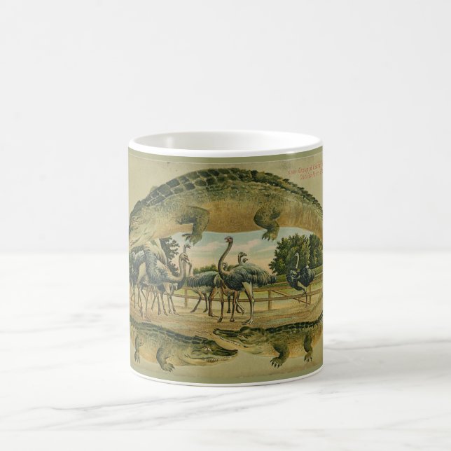 FloridaalligatorgrenzTasse 1905 Kaffeetasse (Mittel)
