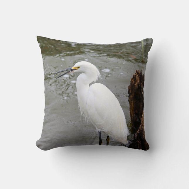 Florida's Singing Egret Kissen (Vorderseite)