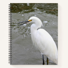 Florida's Singing Egret Notizbuch