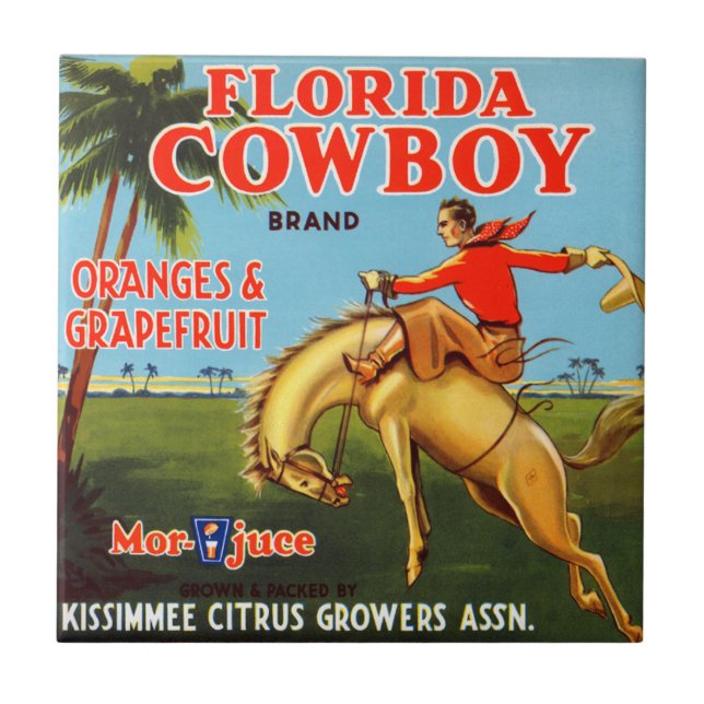 Floriday Cowboy Fliese (Vorderseite)