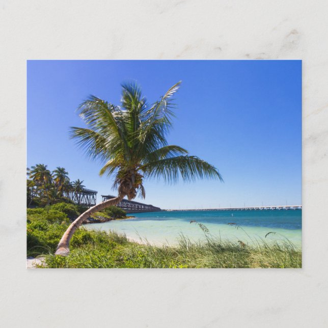 Floride - Bahia Honda carte postale (Devant)