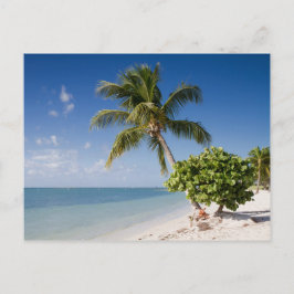 Floride - carte postale de plage Sombrero