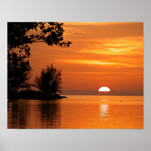 Floride coucher de soleil les arbres de lac Poster