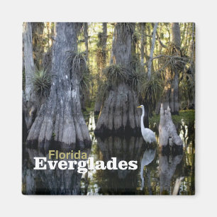 Floride Everglades Photo Souvenir Fridge Magnet