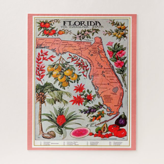 Floride Fruit 16x20 Jigsaw Puzzle (Vertical)
