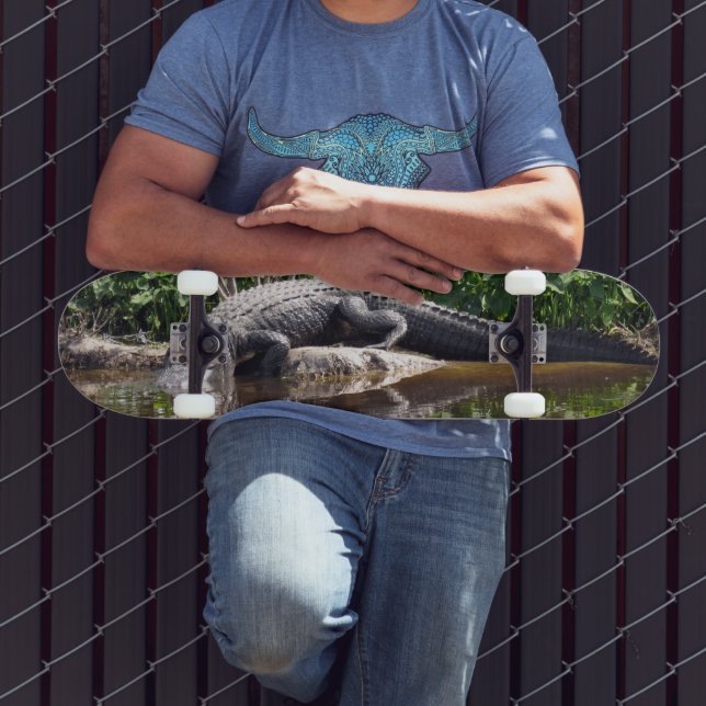 Floride Gator - American Alligator Skateboard (Extérieur 3)