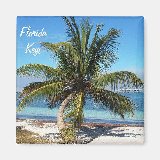 Floride Keys Bahia Honda State Park Palm Magnet (Devant)