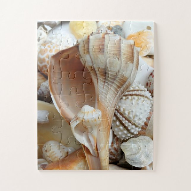 Floride Lightning Whelk Enfants Seashells Puzzle (Vertical)