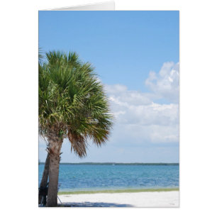 Floride - plage calme