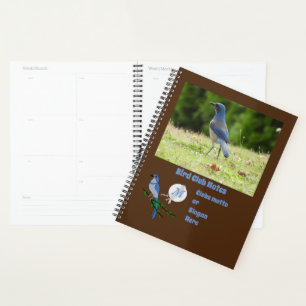 Floride Scrub Jay Bird Club Monogramme Photo