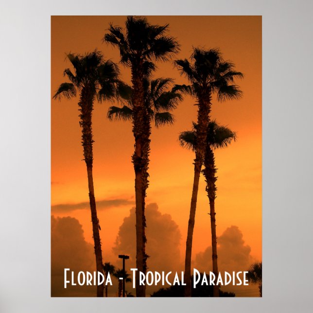 Floride Tropical Paradise Sunset Poster Photo (Devant)