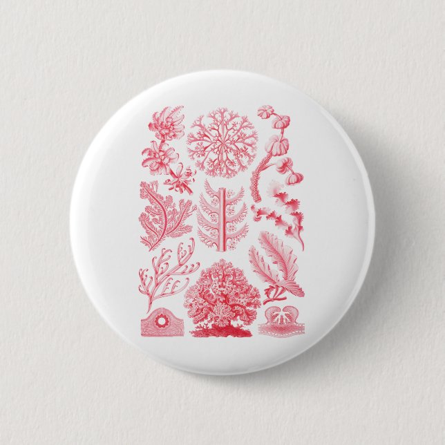 Floriden Button (Vorderseite)