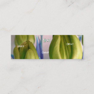 Florist - Green Rosey Tulips Mini Visitenkarte