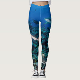 Flossen-Flosse: Riffszene mit einer Schule der Leggings