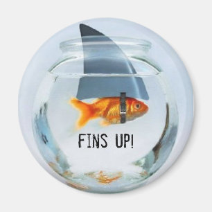 Flossen oben! Magnet