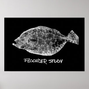 Flounder Study print "SEHR POPULAR" Poster