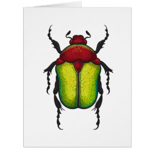 Flower beetle