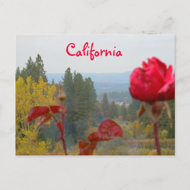Flower California Postkarte (Vorderseite)