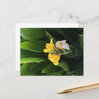 Flower Delivery Postkarte