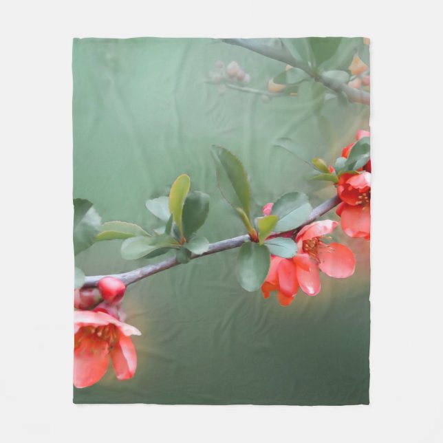 Flower flowers quince bush spring fleecedecke (Vorderseite)