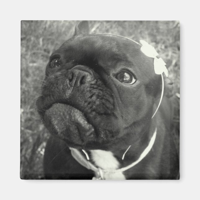 Flower Girl Magnet (Vorne)