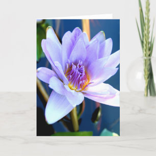Flower greeting card karte