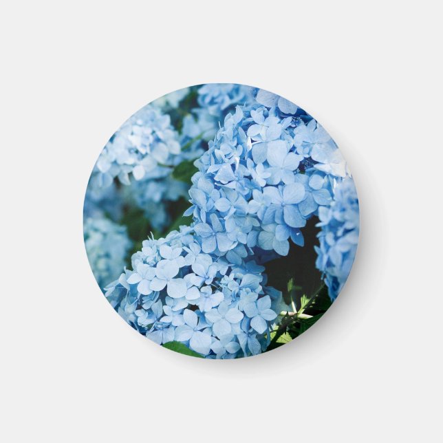 Flower  magnet (Vorne)