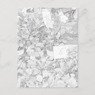 Flower Market Coloring Postkarte