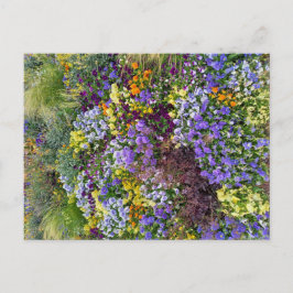 Flower Power - 1 Postkarte