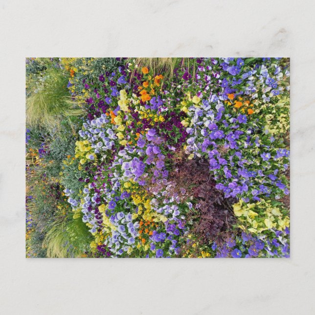 Flower Power - 1 Postkarte (Vorderseite)