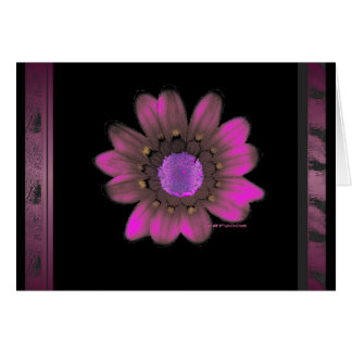 Flower power rose