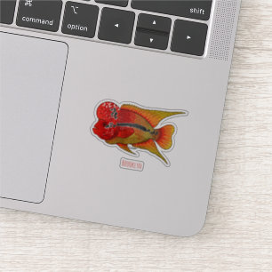 Flowerhorn cichlid fish cartoon illustration aufkleber