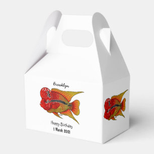 Flowerhorn cichlid fish cartoon illustration geschenkschachtel
