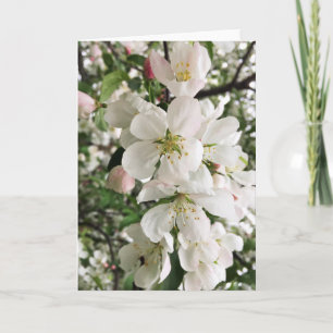 Flowering Crabapple Karte