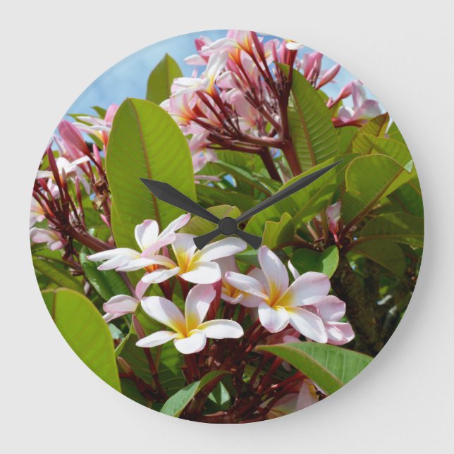 Flowering Pink Frangipani Tree, Große Wanduhr (Vorderseite)